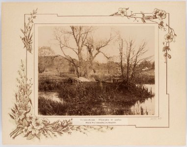 Tuhanavičy, Vieraščaka. Туганавічы, Верашчака (T. Boretti, 1894) (3)