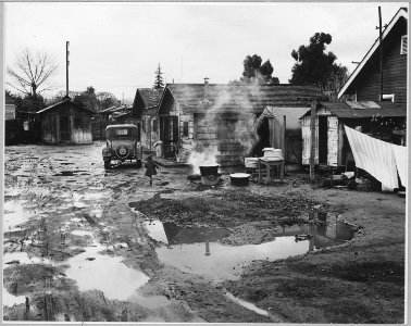 Tulare County, California. Cheap auto camp housing for citrus workers. - NARA - 521799