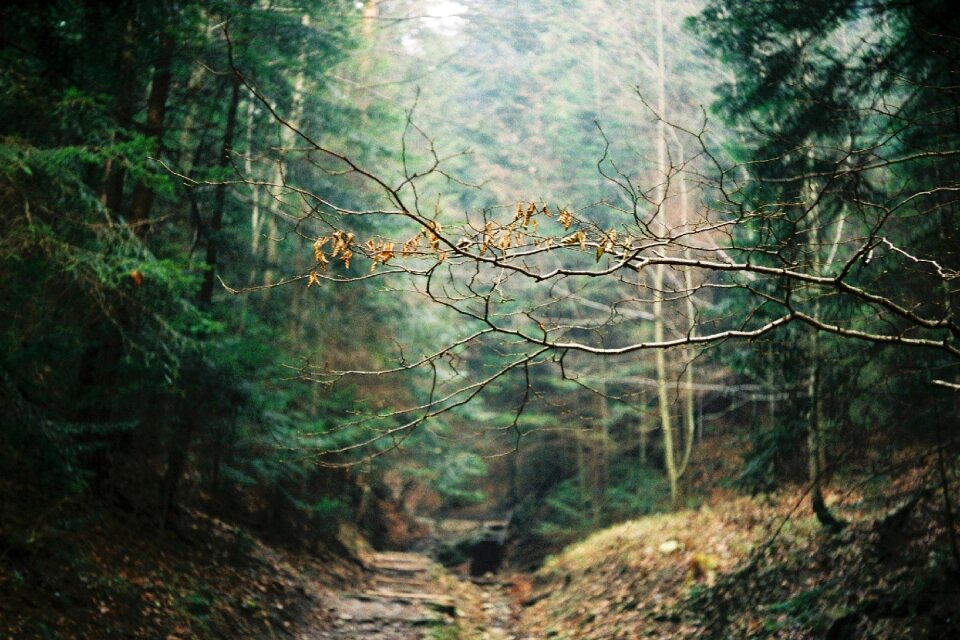 Plant adventure outdoor