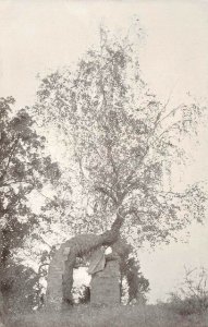 Tuhanavičy, Adam Mickievič. Туганавічы, Адам Міцкевіч (T. Boretti, 1900) (2)