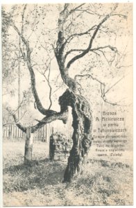 Tuhanavičy, Adam Mickievič. Туганавічы, Адам Міцкевіч (1920)