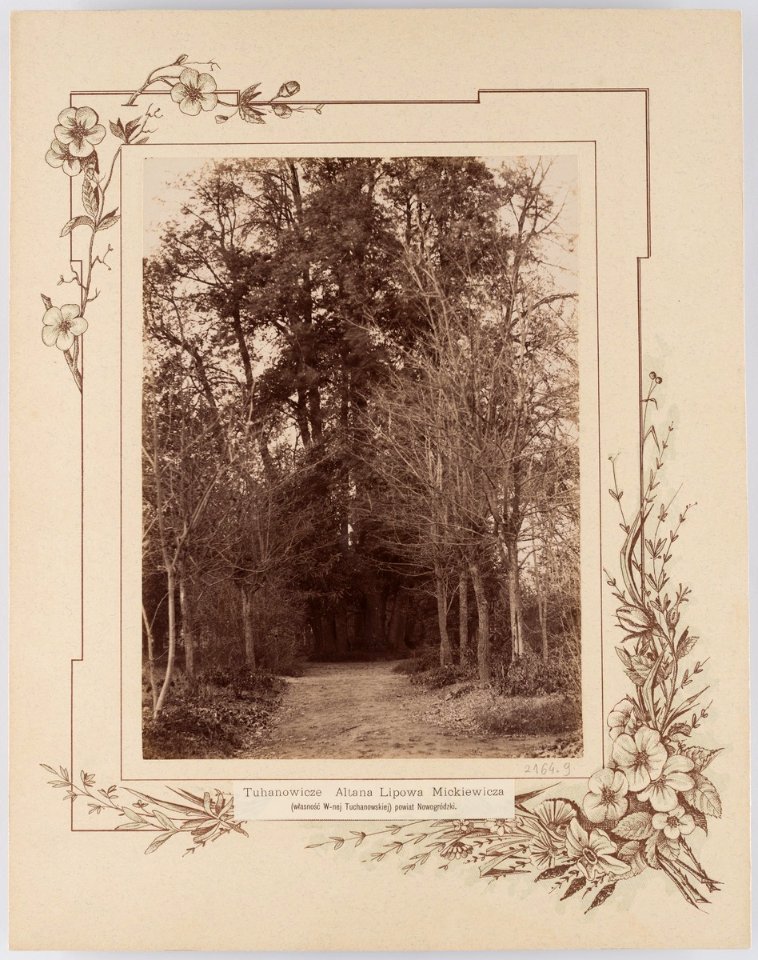 Tuhanavičy, Vieraščaka, Altanka Maryli. Туганавічы, Верашчака, Альтанка Марылі (T. Boretti, 1900)