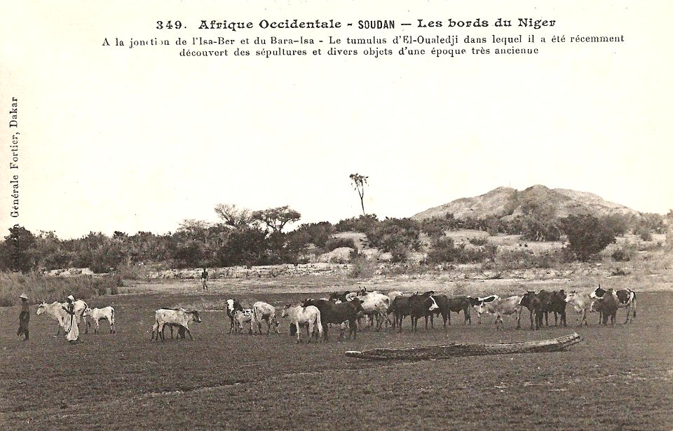 Tumulus d'El-Oualedji (AOF)