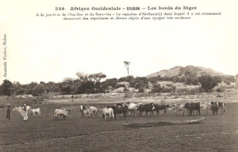 Tumulus d'El-Oualedji (AOF)