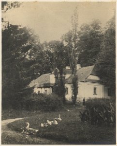 Tuhanavičy, Vieraščaka, Muravanka. Туганавічы, Верашчака, Мураванка (J. Bułhak, 1909)