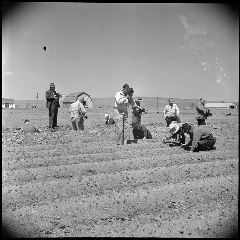 Tule Lake Relocation Center, Newell, California. Newsreel cameramen and newspaper cameramen from th . . . - NARA - 537141