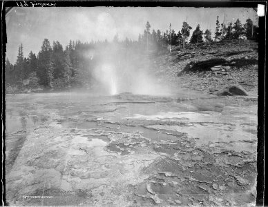 Turban Geyser, Yellowstone - NARA - 516803