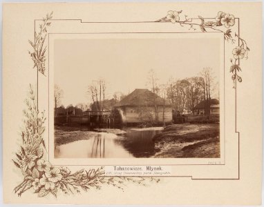 Tuhanavičy, Servač. Туганавічы, Сэрвач (T. Boretti, 1894)