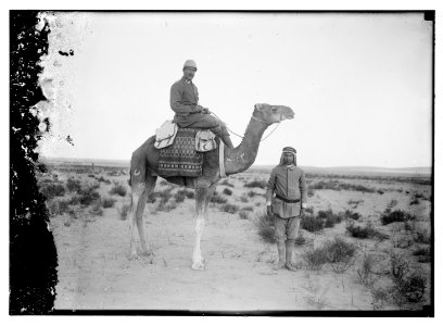 Turk (i.e., Turkish) officer on camel LOC matpc.08169