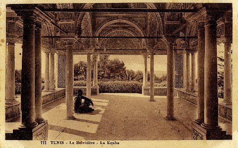 Tunis le Belvedere La Kouka