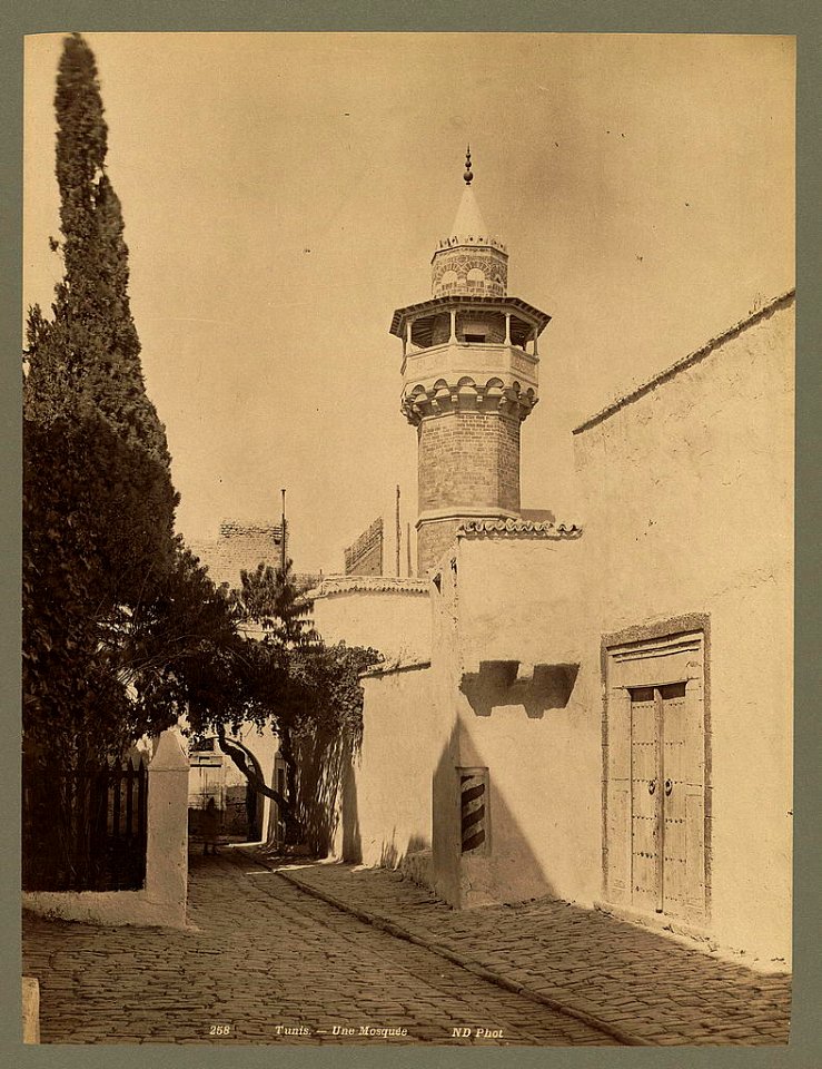 Tunis. Une mosquée - ND Phot. LCCN2004665092