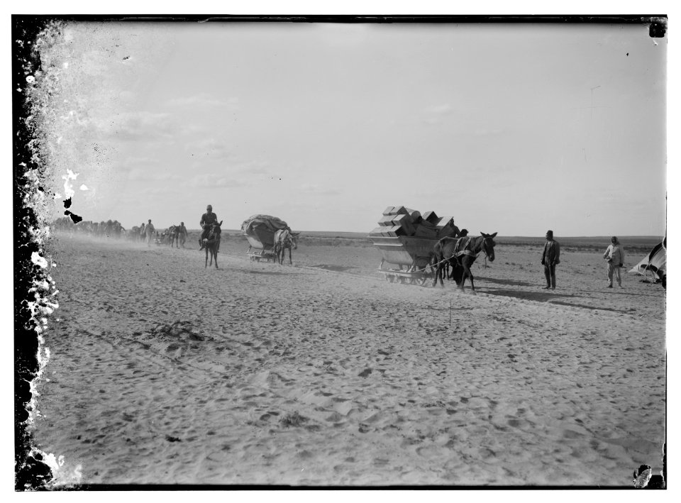 Turk(ish) supply train in Sinai LOC matpc.08166