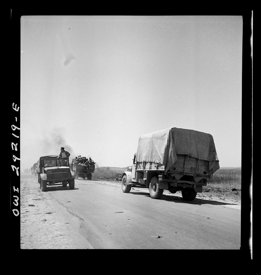 Tunis, Tunisia. Allied troops entering the city8d29825v