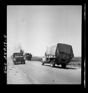Tunis, Tunisia. Allied troops entering the city8d29825v