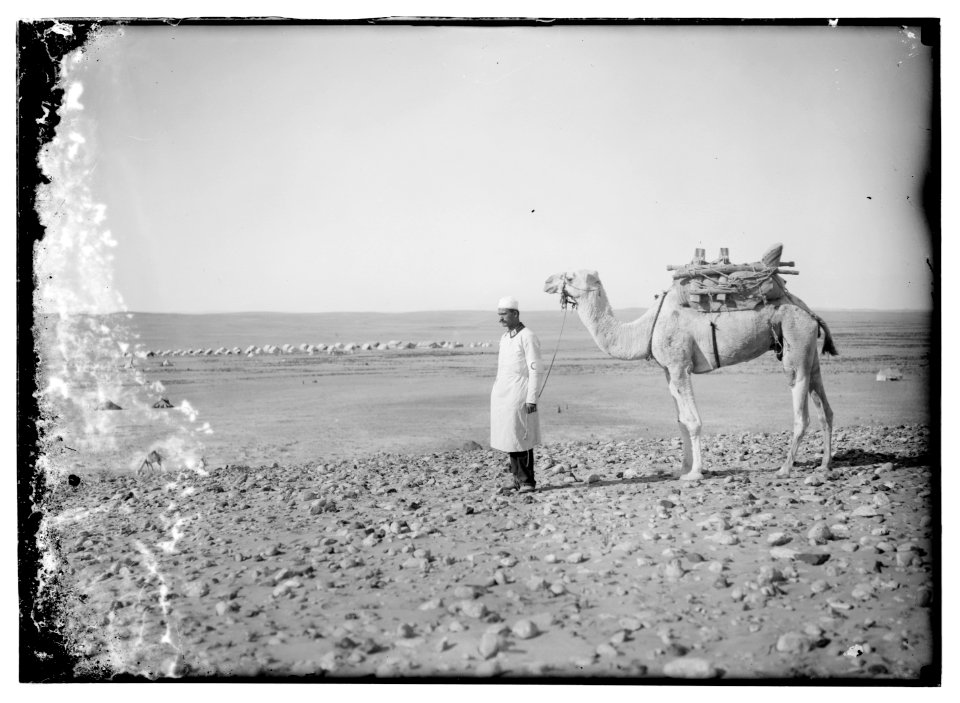 Turkish Red Crescent LOC matpc.08182