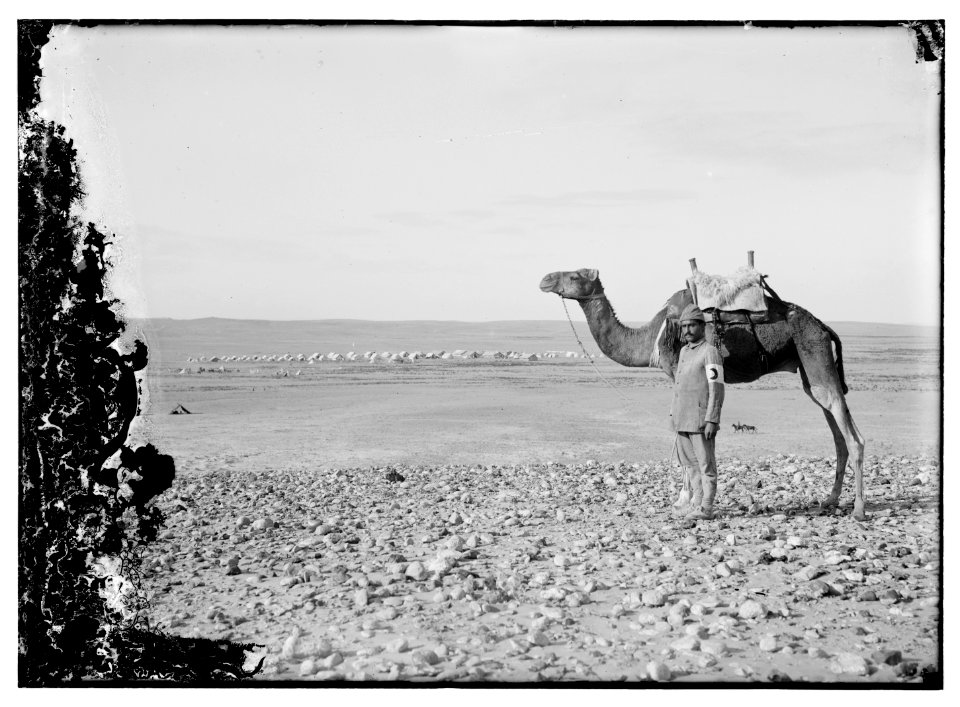 Turkish Red Crescent LOC matpc.08186