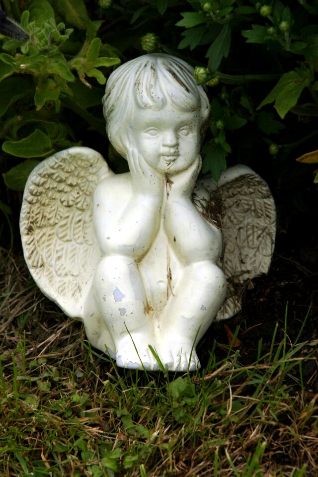 Cemetery harmony sweet