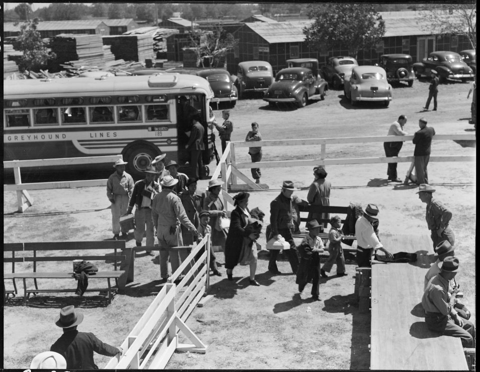 Turlock, California. Farm families of Japanese ancestry arriving at this Assembly center from Byron . . . - NARA - 537636