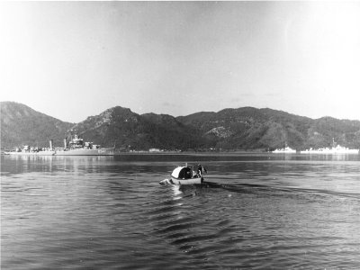 Turkish destroyer Gemlik (D347) at anchor c1956