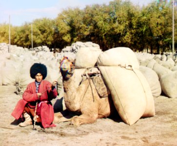 Turkmen man with camel photo