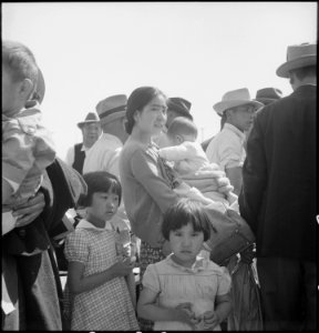 Turlock, California. Families of Japanese ancestry arrive at Turlock Assembly Center. Evacuees wil . . . - NARA - 537644
