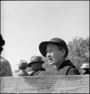 Turlock, California. This aged woman of Japanese ancestry , in foreground, has just arrived at this . . . - NARA - 537652