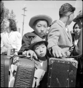 Turlock, California. These young evacuees of Japanese ancestry are awaiting their turn for baggage . . . - NARA - 537656