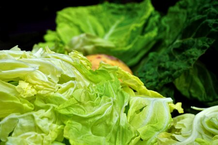 Healthy savoy cabbage eat photo