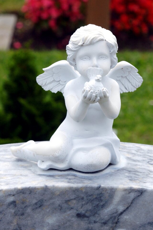 Cemetery harmony sweet