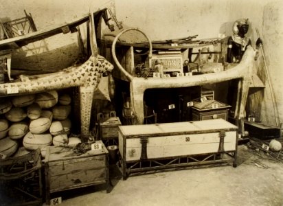 Tutankhamun tomb photographs 2 019