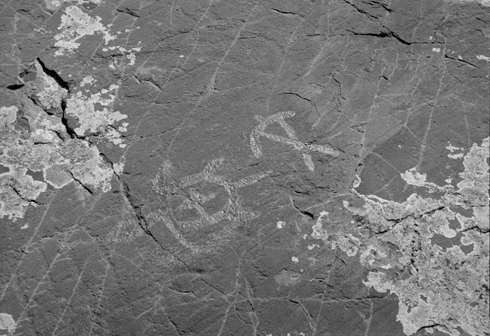 Turtle and man art taken in 1990 detail, Jeffers Petroglyphs - 090539pr (cropped)