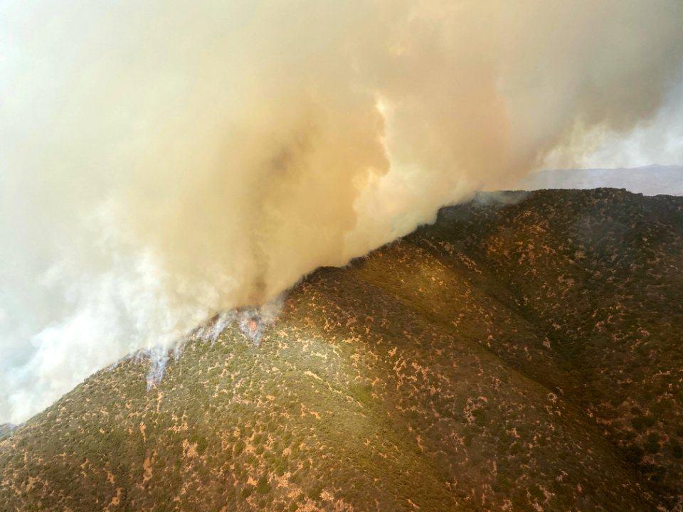 Tussock fire, Arizona