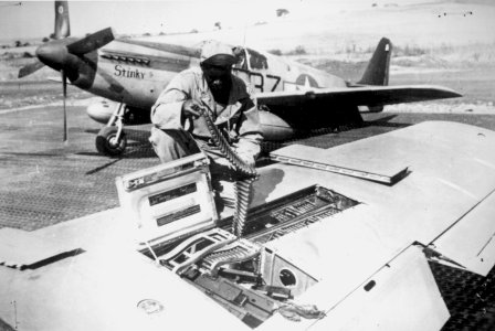 Tuskeegee reload P-51