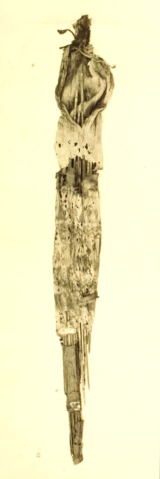 Tutankhamun tomb photographs 5 489