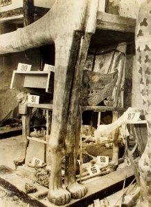 Tutankhamun tomb photographs 2 032