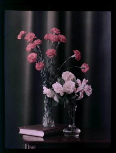 Två vaser, en med rosa nejlikor, en med rosa rosor och en lilja - Nordiska Museet - NMA.0031745