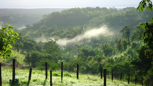 Wood widescreen rural area