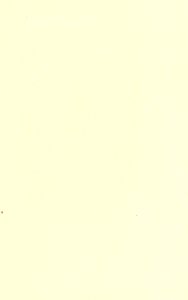 Twain - Contes choisis, p. 2