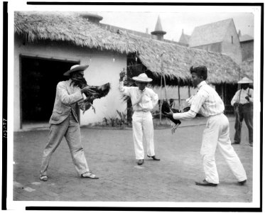 Two cock-fighters and referee at the World's Columbian Exposition, Chicago, Illinois LCCN91725289