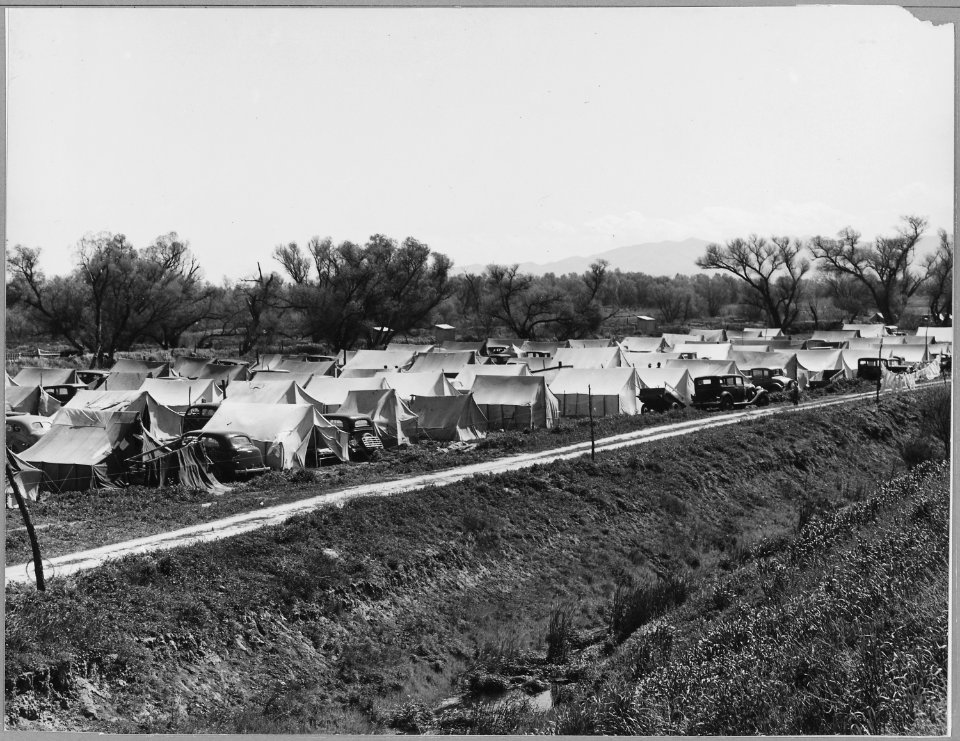 Two and one-half miles S.E. of Westley, Stanislaus County, San Joaquin, California. Labor contractor . . . - NARA - 521709