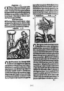 Two illustrations showing a unicorn and several apes LCCN2004667646