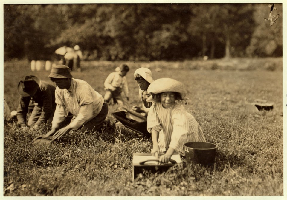Two little pickers. Manuel Alvez - 12 years, Marion Alvez, 8 years. She picks 19 measures. He picks 10 measures. Live - 320 Water St., New Bedford. LOC nclc.00181