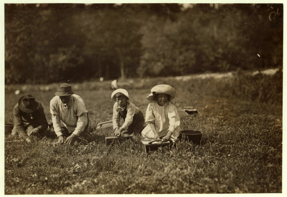 Two little pickers. Manuel Alvez - 12 years, Marion Alvez, 8 years. She picks 19 measures. He picks 10 measures. Live 320 Water St., New Bedford, Mass. LOC nclc.00182