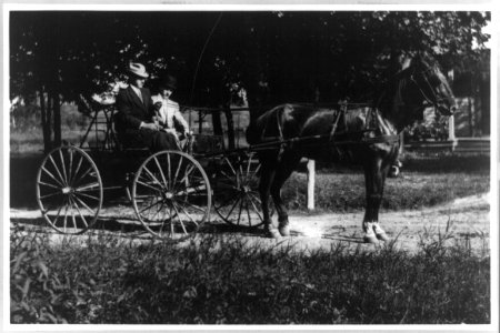 Two men in a horse-drawn vehicle (wagon) in Vienna, Va. LCCN2002695636