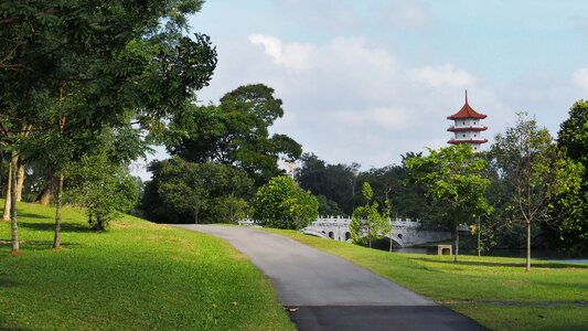 Outdoors summer landscape