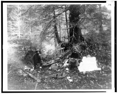 Two men and one women in forest in Alaska, 1899) - Curtis LCCN2002706857