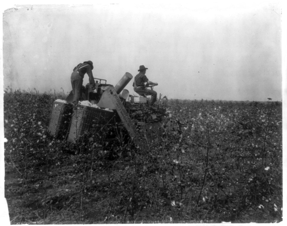 Two men picking cotton, with a Pittsburg Am. Cotton Picker LCCN2004677169