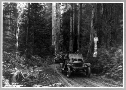 Two open-air cars filled with tourists on road in Olympic National Forest, Washington, and two advertisement signs on tree LCCN92500103