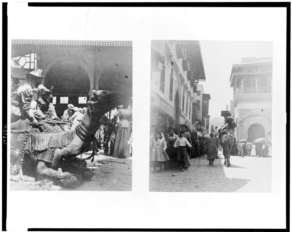 Two photographic prints, showing woman seated on back of kneeling camel, and person riding camel, at the World's Columbian Exposition, Chicago, Illinois LCCN93503322