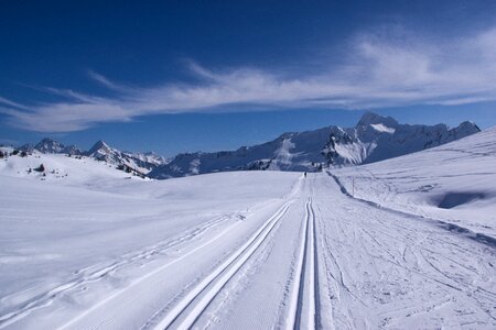 Cold ice cross country skiing photo